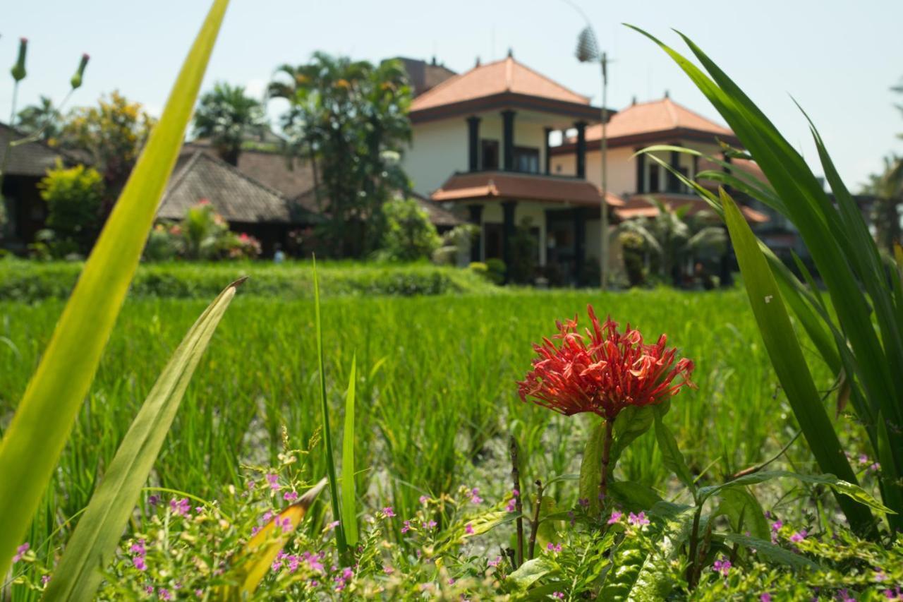 Puji Hostel And Bungalow Ubud المظهر الخارجي الصورة